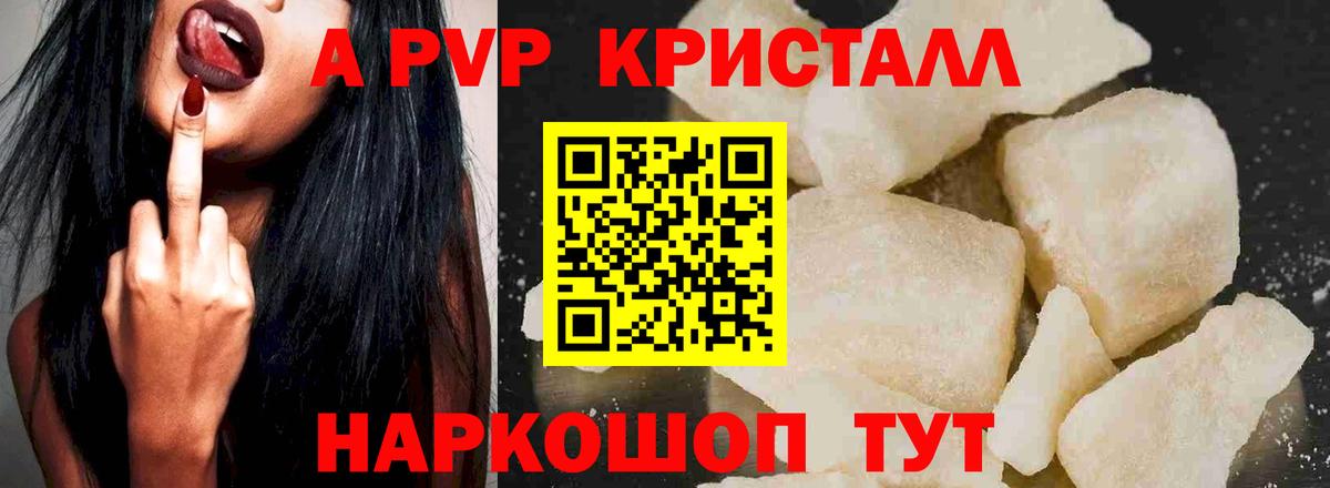 Alfa_PVP СК Владивосток