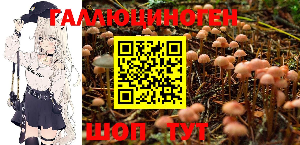 Галлюциногенные грибы GOLDEN TEACHER Владивосток