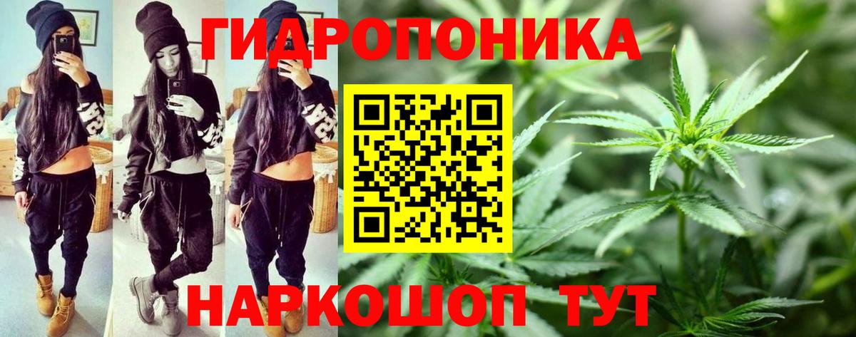 Конопля Ganja  МАРИХУАНА LSD WEED  Вход с VPN  Владивосток  Бошки Шишки гибрид 
